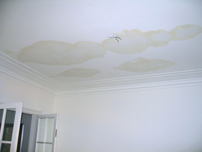 Water Damage Effects